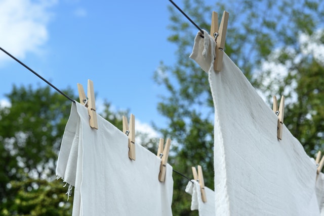 Eliminate Mildew Right Away Photo by Skitterphoto from Pexels
