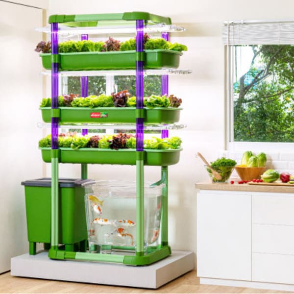 Aquaponics System