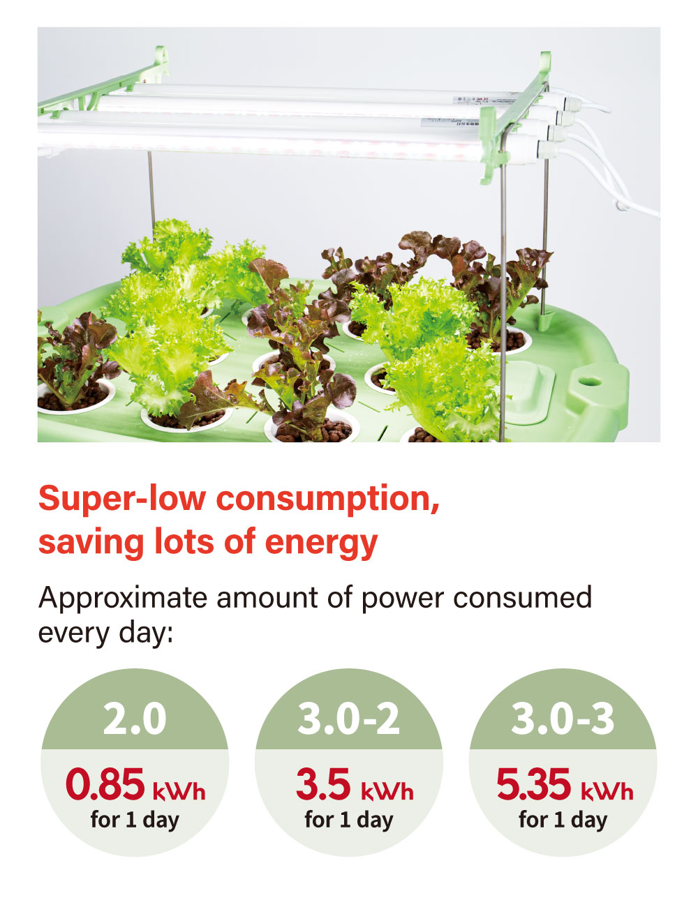 The Lagoon Laquaponic has super low consumption, saving lots of energy