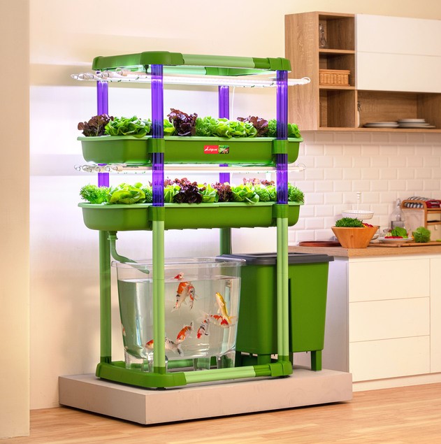 Aquaponics System
