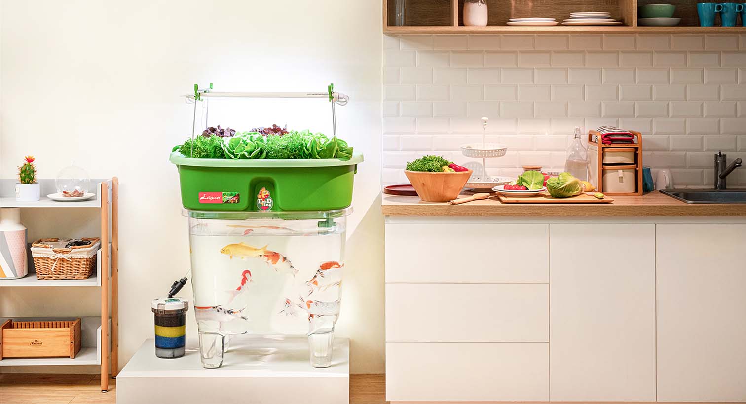 _1512x819_5-3Aquaponics Laquaponic-en - Lagoon Design Furniture