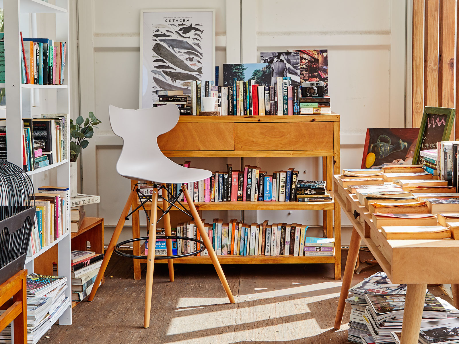 7065G-PT1 7065G WHALE Barstool - Lagoon muebles de dise&ntilde;o