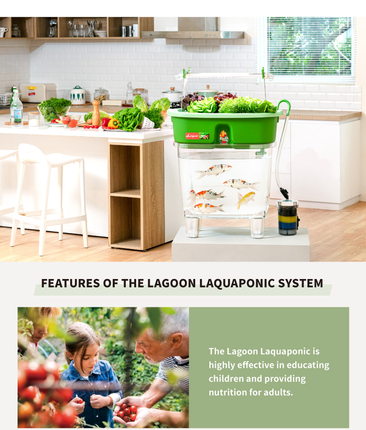 laquaponic1